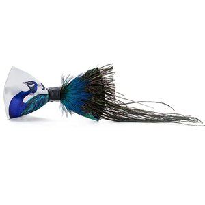 Mens Novelty Peacock Natural Feather Bowtie Blue